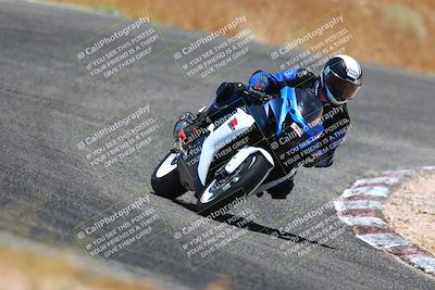 media/Jul-08-2023-2WTD (Sat) [[c8c0d2e149]]/B Group/1220pm (Turn 5)/